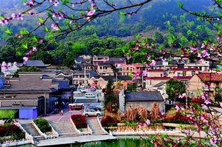 网红大冶,揭秘网络红人的崛起之路